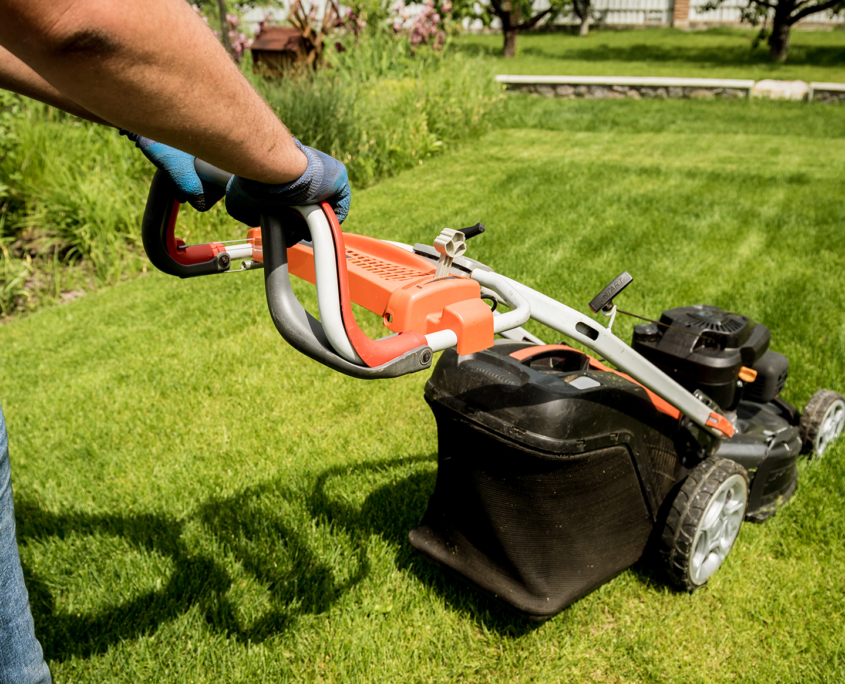 Entretien de votre jardin taille, débroussaillage, tonte, ramassage déchets verts Entretien de votre jardin taille, débroussaillage, tonte, ramassage déchets verts